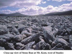 Fig.14. Mount Kent stone run